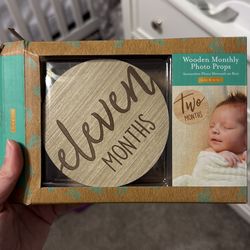 Monthly wooden photo props