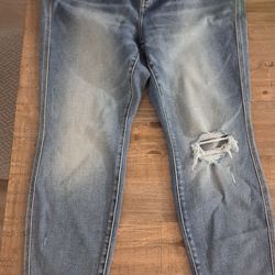 Size 14 Jeans and shorts
