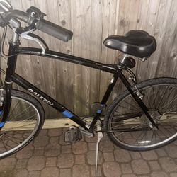 Raleigh Bike 