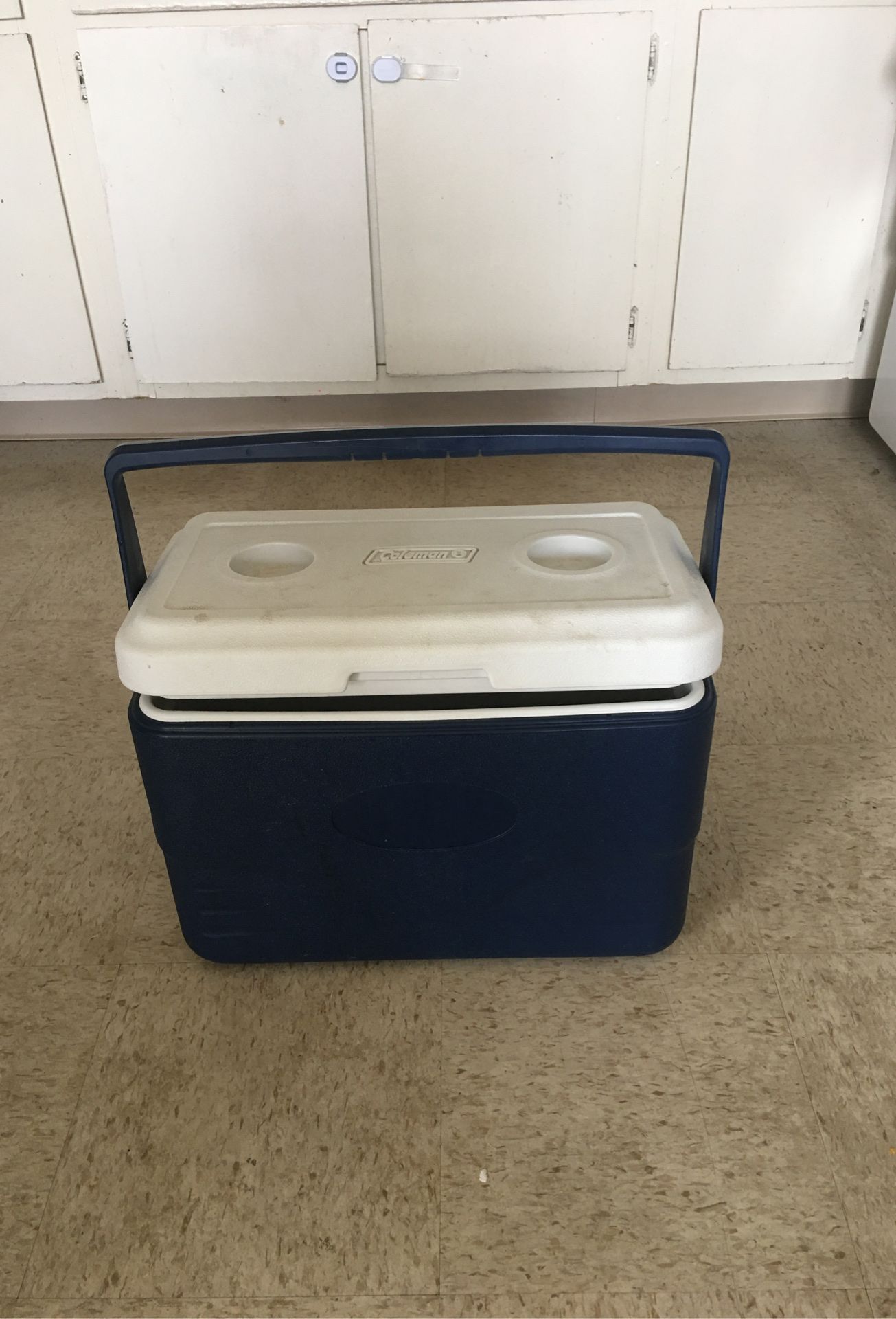 Ice chest Cooler