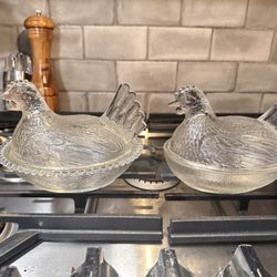 Indiana Hens On Nest 