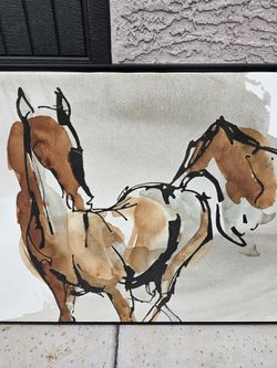 Beautiful Horse Picture