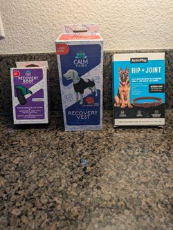 Dog stuff