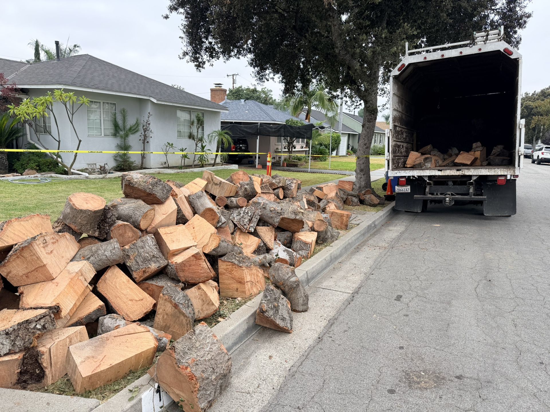 Oakwood Firewood