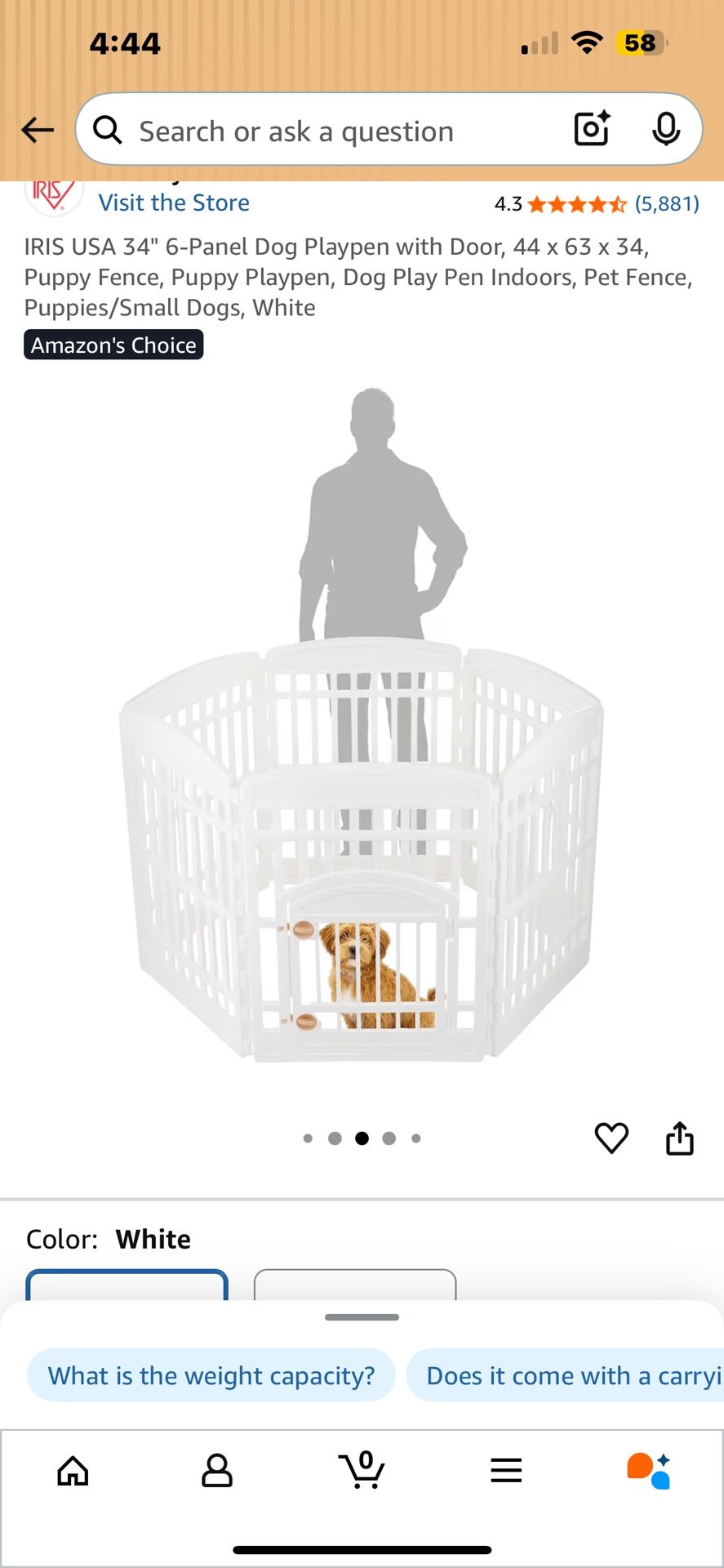 Dog Gate