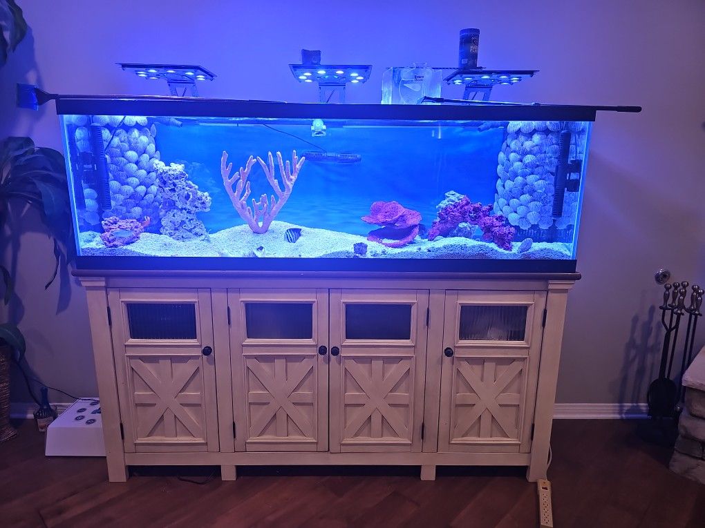 Salt Water Aquarium 125 Gal W/5 Fish EVERYTHING NEEDED!