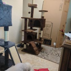 Cat Tree 