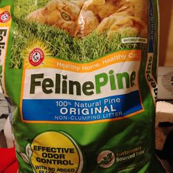 Cat Litter