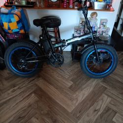 Ecotric E-bike