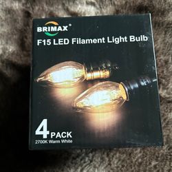 4 Pack F15 Led Filament Lights 