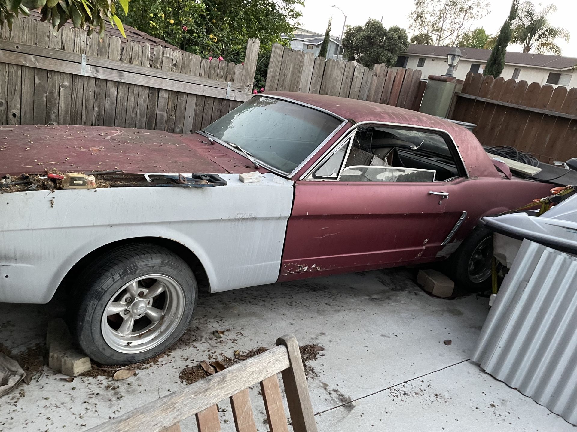 1965 Ford Mustang