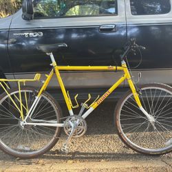 Vintage 1988 Giant Iguana 