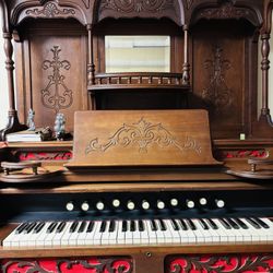 Organ