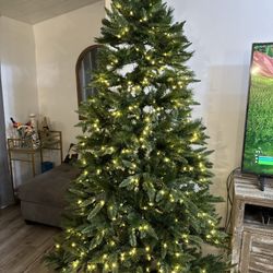 Christmas Tree