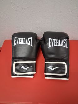Moving Sale Boxing gloves size L/XL pickup 3-11 pm rainbow/charleston cash only read description fcfs