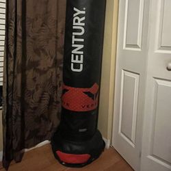 Punching Bag