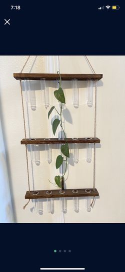 Like New Plant Cutting Propagation Hanging Tubes