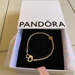New Pandora Bracelet and Charm
