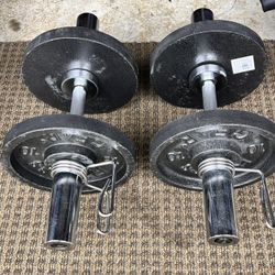TWO 60 LB SOLID DUMBBELLS EACH ONE 30LB FOR SALE 