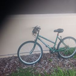 Road master Mountain Bike 