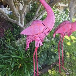 Meadow flamingo.