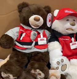 Costco employee teddy bear 2026