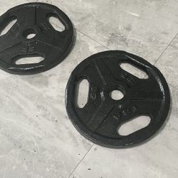 Pair Of 35lb Olympic Weights Plates Total 70lb