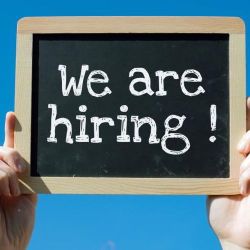 Landscaping Plants And Maintenance