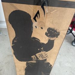Punching Bag 