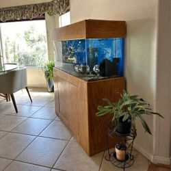 75 Gallon Acrylic Aquarium With Stand And Canopy 