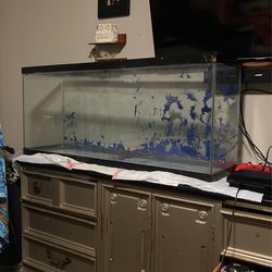 55 Gallon Tank