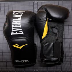 Used everlast boxing gloves