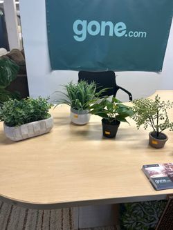Fake Plant Decor