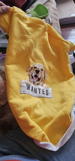 Yello Dog Sweater 
