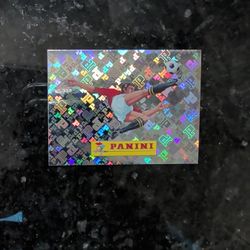 00 PANINI 