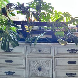 Monstera Dresser Planter