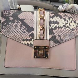 Aldo Purse
