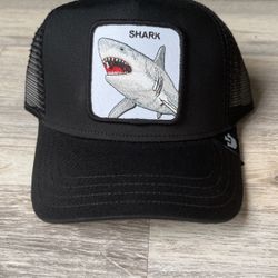Goorin Bros Snapback Hat Shark