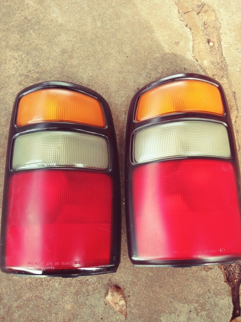 Rear Lights
