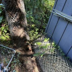 Chain link Fencing 600 Ft With Small Gate And Post 