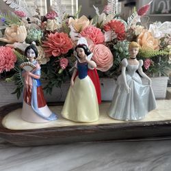 Collectable Disney princesses 