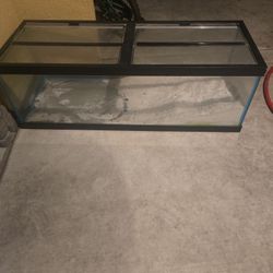 55 Gallon Tank