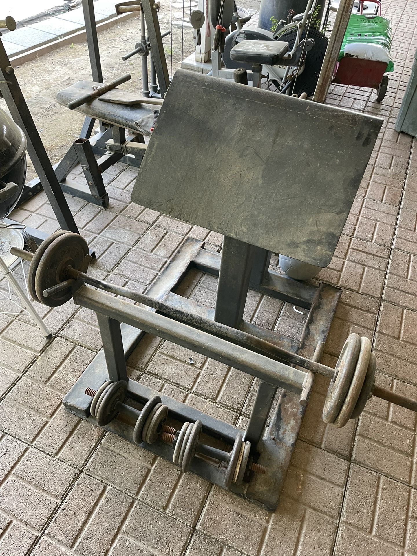 Arm Curl Bench