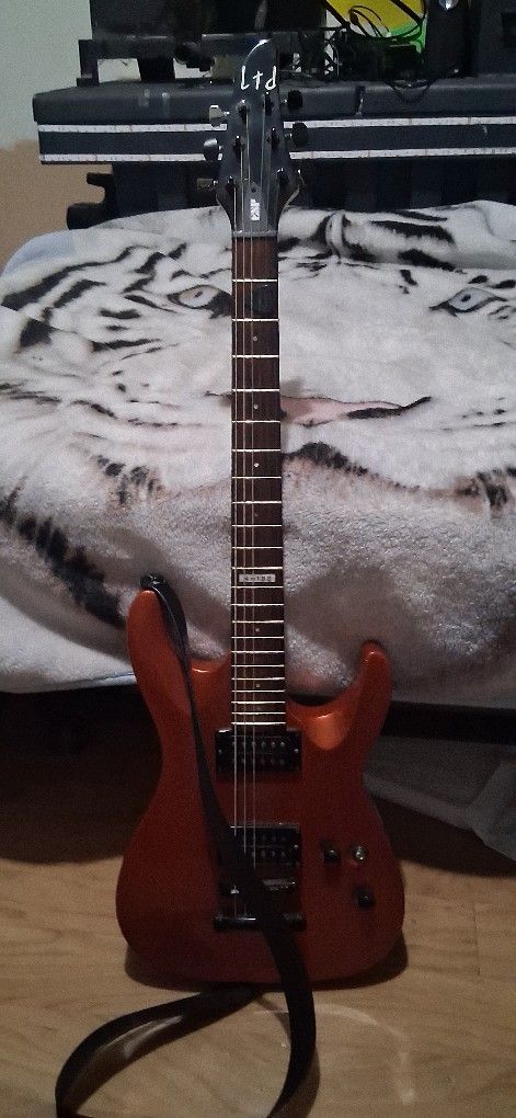 Electric Guitar