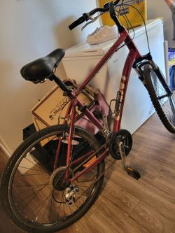 Giant Sedona DX bike