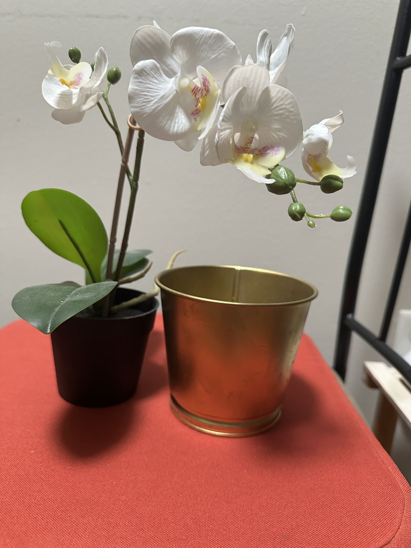 FEJKA Artificial potted plant, Orchid white, 3 ½ " And Extra ikea Pot