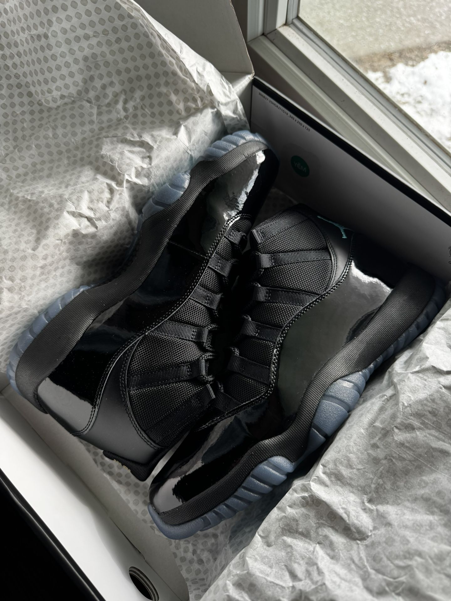 Jordan 11 Gammas