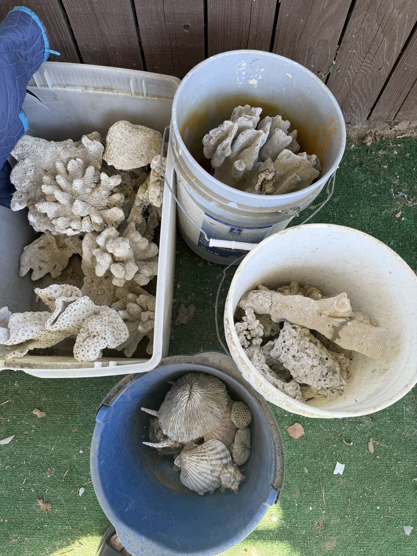 Fish Tank Decorations 