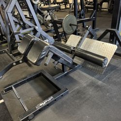 Back Extension