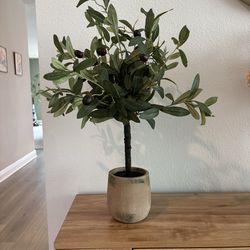 Faux Olive tree PLANT  - Neutral Mediterranean / Organic Home Decor- For Tabletop or Shelf!